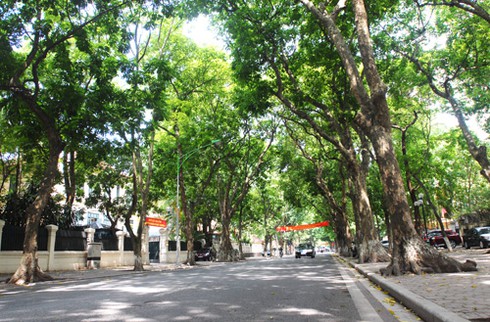 Những cung đường