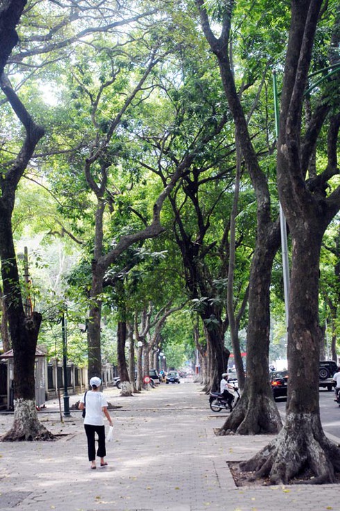 Những cung đường