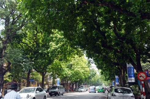 Những cung đường