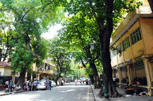 Những cung đường