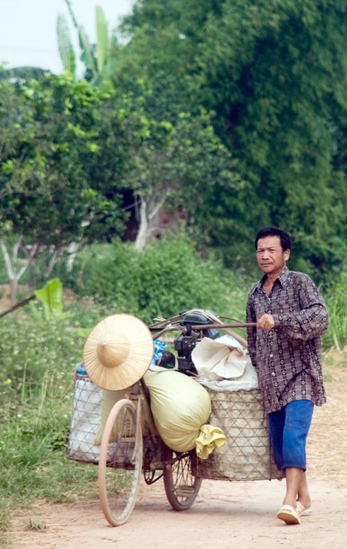 Nông dân gặt lúa dưới cái nắng đổ lửa - ảnh 9