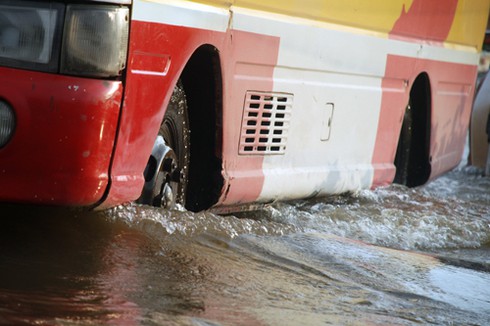 Kiếm bạc triệu nhờ cầu ngập - ảnh 14