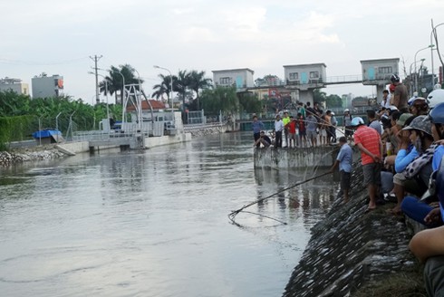 Hà Nội xả nước vào nội thành, người dân vợt bắt hàng tạ cá - ảnh 7