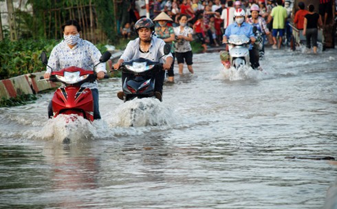 Kiếm bạc triệu nhờ cầu ngập - ảnh 5
