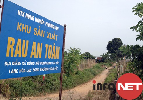 Rau an toàn