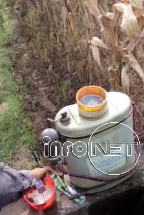 Rau an toàn “đẫm” thuốc sâu: Chỉ phạt hành chính người phun thuốc - ảnh 3