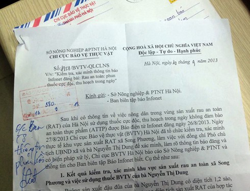 Rau an toàn “đẫm” thuốc sâu: Chỉ phạt hành chính người phun thuốc - ảnh 1