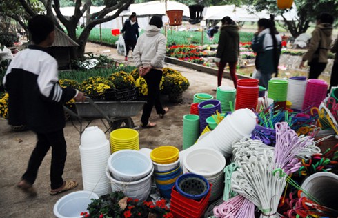 Thăm chợ hoa tết rẻ nhất Hà thành - ảnh 16