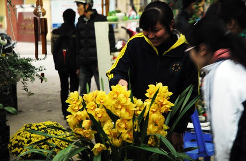 Thăm chợ hoa tết rẻ nhất Hà thành - ảnh 9