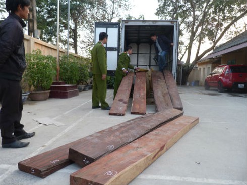 Gỗ lậu tiền tỷ phát hiện trong kho của hàng không - ảnh 1