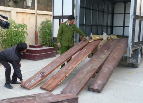 Gỗ lậu tiền tỷ phát hiện trong kho của hàng không - ảnh 2