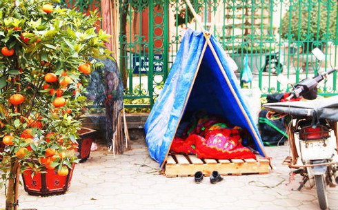 Dựng lều ngủ ven đường bán cây ngày Tết - ảnh 5