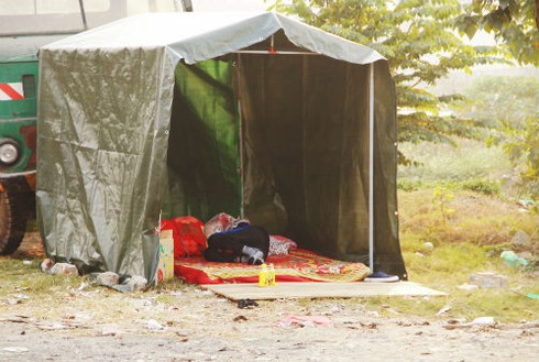 Dựng lều ngủ ven đường bán cây ngày Tết - ảnh 6