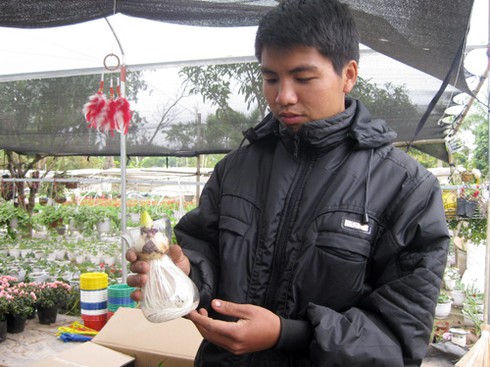 Hoa cảnh Trung Quốc tràn ngập - ảnh 9