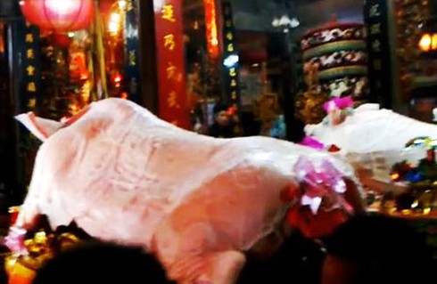 Hà Nội: Hàng nghìn người tháp tùng “ông lợn” - ảnh 14