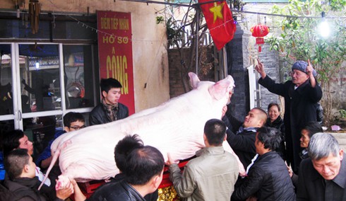 Hà Nội: Hàng nghìn người tháp tùng “ông lợn” - ảnh 3