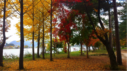 Cơ hội cuối sở hữu tấm vé giá chỉ 0 đồng du lịch Hàn Quốc - ảnh 3