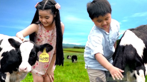 Tham quan trang trại xuất sắc nhất Việt Nam - ảnh 2