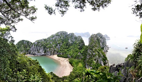 Sức hấp dẫn của du lịch Quảng Ninh nhìn từ Bãi Cháy - ảnh 3