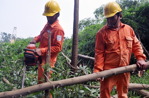 EVN Hà Nội đảm bảo an toàn điện mùa mưa bão - ảnh 3
