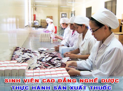 Có nên hợp nhất Cao đẳng Dược và Cao đẳng Nghề Dược? - ảnh 2