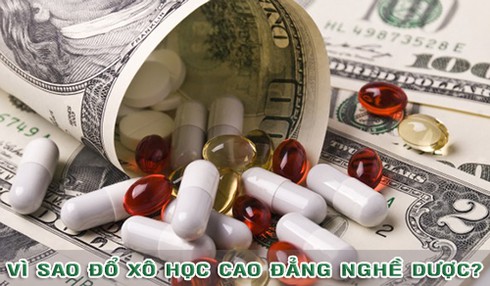 Có nên hợp nhất Cao đẳng Dược và Cao đẳng Nghề Dược? - ảnh 1