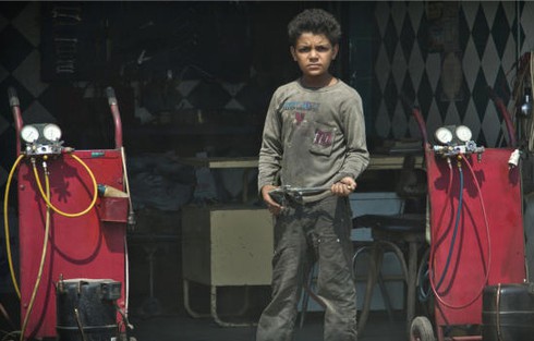 Ai Cập: Hàng triệu lao động trẻ em bị lạm dụng - ảnh 1