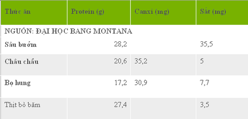 Côn trùng bổ dưỡng hơn cả thịt bò - ảnh 1