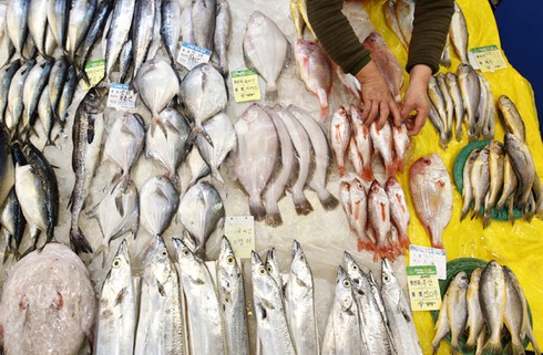 Lo sợ nhiễm xạ, Hàn Quốc cấm nhập khẩu thủy sản Nhật Bản - ảnh 1