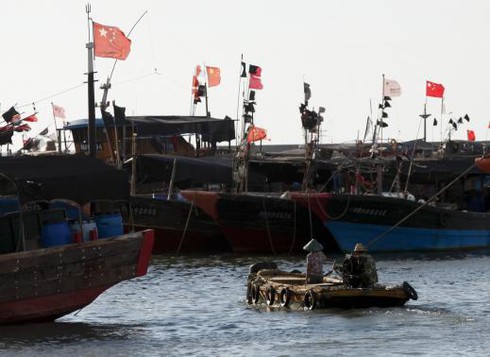 Reuters: Trung Quốc xúi giục ngư dân cướp cá của láng giềng - ảnh 1