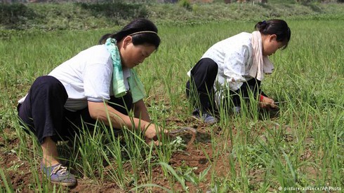 Triều Tiên: Con đường kinh doanh còn xa lắm! - ảnh 1