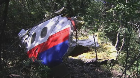 Malaysia yêu cầu lập tòa án hình sự quốc tế vụ MH17 - ảnh 1