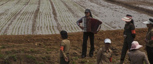 Triều Tiên quy định làm việc từ 5 giờ sáng để tránh nóng - ảnh 1