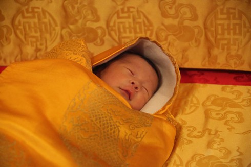 Bhutan trồng 108.000 cây xanh để đón tiểu hoàng tử - ảnh 5