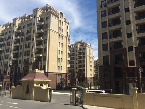 Đằng sau thương vụ mua bán đất đai giữa Trung Quốc và Georgia - ảnh 1