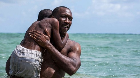 ‘Moonlight’- Phim hay nhất Oscar 2017 - ảnh 2