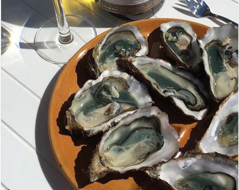 Ăn gì để tóc nhanh dài và dày - ảnh 2