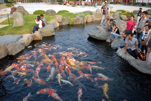 TP.HCM: Nghỉ lễ 5 ngày đi chơi ở đâu? - ảnh 9