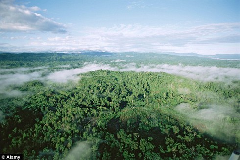 Indonesia: Chưa thể tiếp cận xác máy bay vì địa hình hiểm trở - ảnh 9
