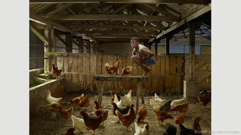 Câu chuyện đau lòng của những đứa trẻ sống cùng động vật - ảnh 6