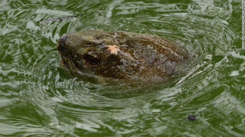 Báo chí thế giới cũng