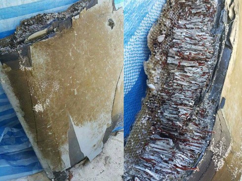 Mảnh vỡ ở bờ biển Mozambique là của MH370? - ảnh 1