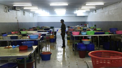 Những bức ảnh ấn tượng nhất trong loạt giải thưởng Pulitzer - ảnh 17