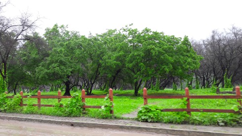 Lạc vào xứ sở thần tiên giữa lòng Trung Đông - ảnh 1