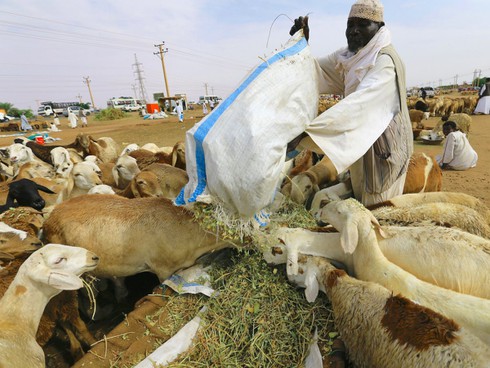 Thành phố nào có chất lượng sống tồi tệ nhất thế giới? - ảnh 6