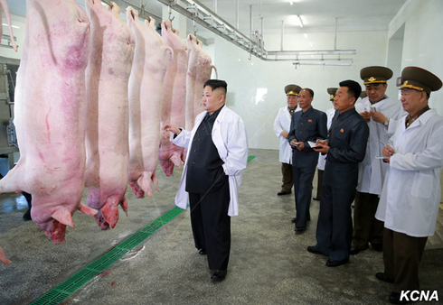 Ông Kim Jong Un đang làm gì khi cả thế giới