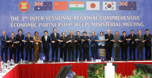 TPP chưa có kết quả, các thành viên APEC đẩy mạnh đàm phán RCEP - ảnh 1