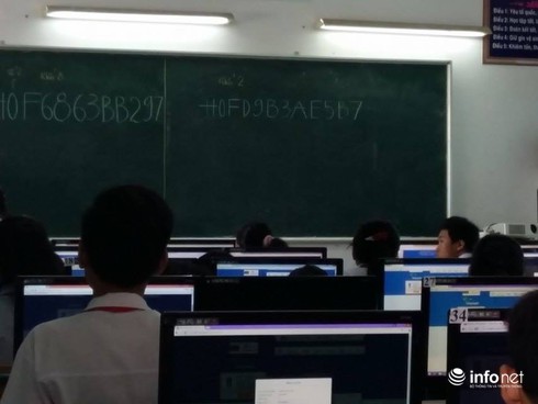 Đề thi ViOlympic quá khó khiến học sinh bật khóc, giáo viên lo lắng - ảnh 2