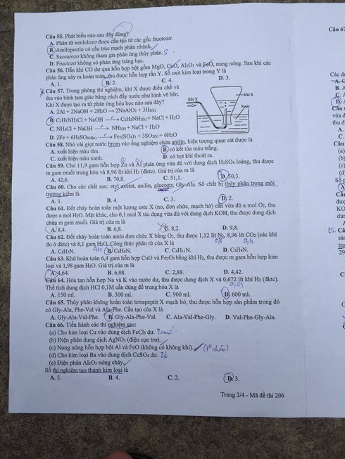 Đề thi môn Hóa học kỳ thi THPT quốc gia 2017 - ảnh 2