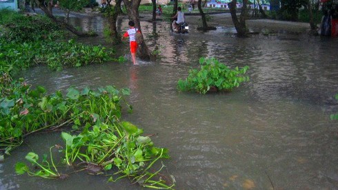 Triều cường kỷ lục biến Sài Gòn thành biển nước - ảnh 9